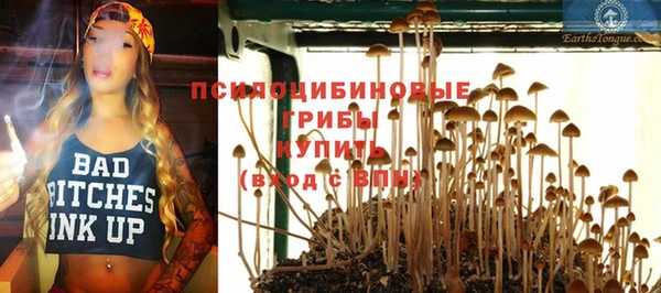 метадон Алексин
