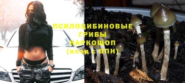 метадон Алексин
